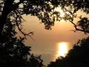 heart sun