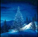CHRISTMAS - NEW YEAR