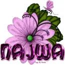 Najwa
