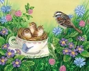 BIRDS