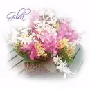 Gilda