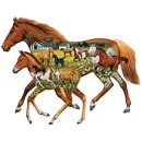 HORSES