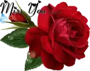 miss you 