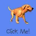 CLICK ME!! (PLEASE?)