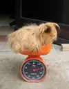 WHAT THE??!! DO REALLY WEIGH THAT MUCH???!!!! :/