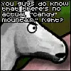 Candy Mountain Shun