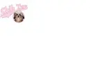 pink shih tzu