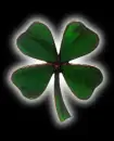 Four leaf clover
