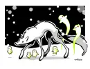 wolfy