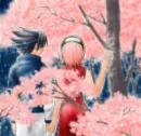 Sauke and Sakura