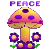 peace