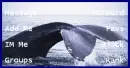 whale of a tail