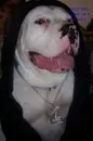 hey wats up