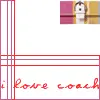 coach <3
