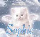 sophie angel kitty