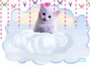 kitty angel