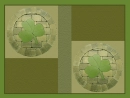 shamrock