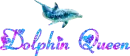dolphin queen dolphin
