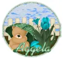 Aggela