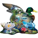 DUCKS