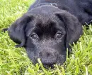wanna play