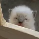 Watching you