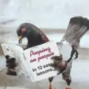 pooping on ppl