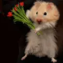 forgive me?