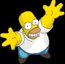 homer j simpson