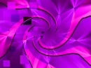 Pink&Purple Wallpaper