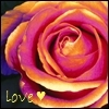 love icon