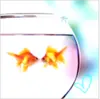 love icon