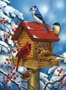 BIRDS