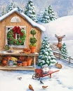 WINTER TIME