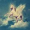 pegasus