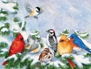 WINTER TIME