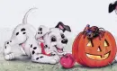 PUPPY FUN