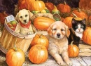 AUTUMN