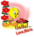 Tweety Bird