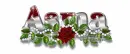 Red Rose-Asma