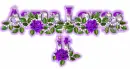 Asma loves it-purple rose