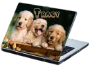 laptop Tracy