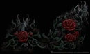 dragon rose