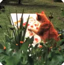 cat painting