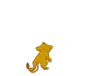 Simba