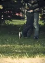 hug