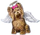 Puppy Angel