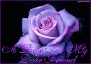 A Rose For My...