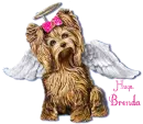 Angel Pup For Brenda