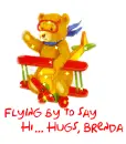 Flying by to say Hi Brenda